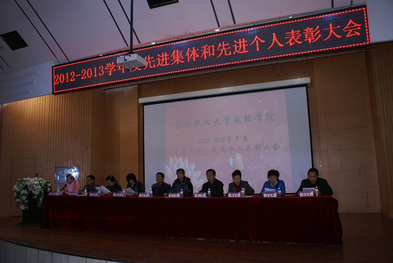 DSC00661_副本.jpg